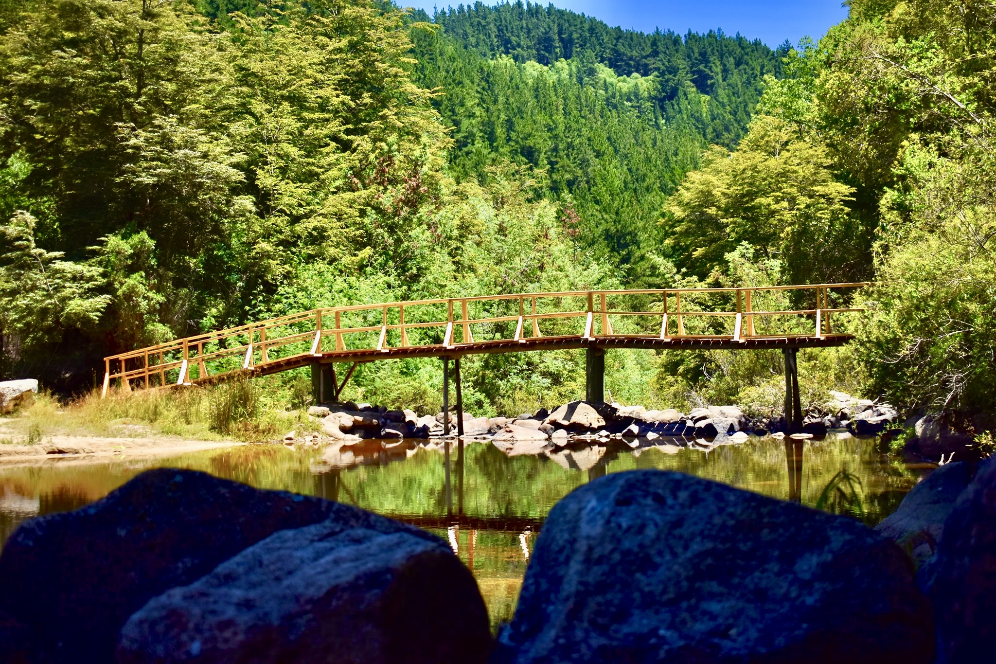 Reserva Nacional Los Ruiles