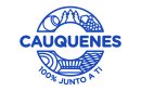Logo-municipalidad